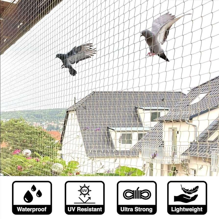Pigeon Safety Nets